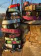 Recycled Dog Collars & Leashes - A Stylish Way to Help the...